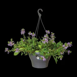 Elho Hangschaal Corsica O30Cm Antraciet-Brico Discount