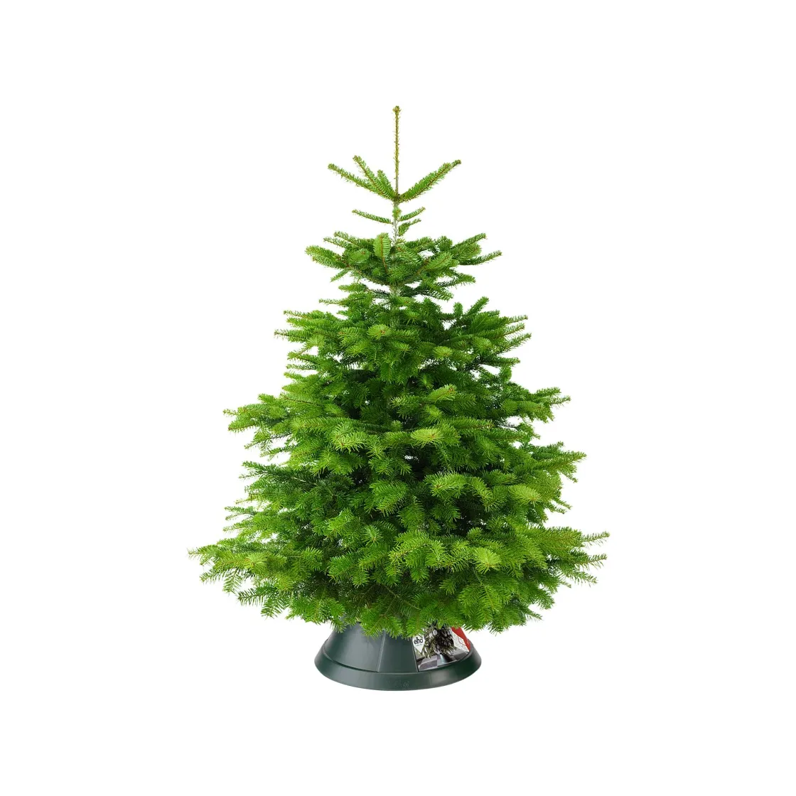 Brico Elho Kerstboomvoet Nordman Groen 39Cm Best