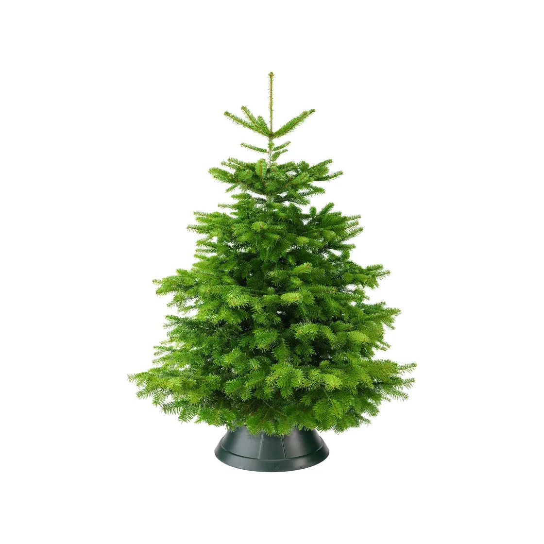 Brico Elho Kerstboomvoet Nordman Groen 39Cm Best