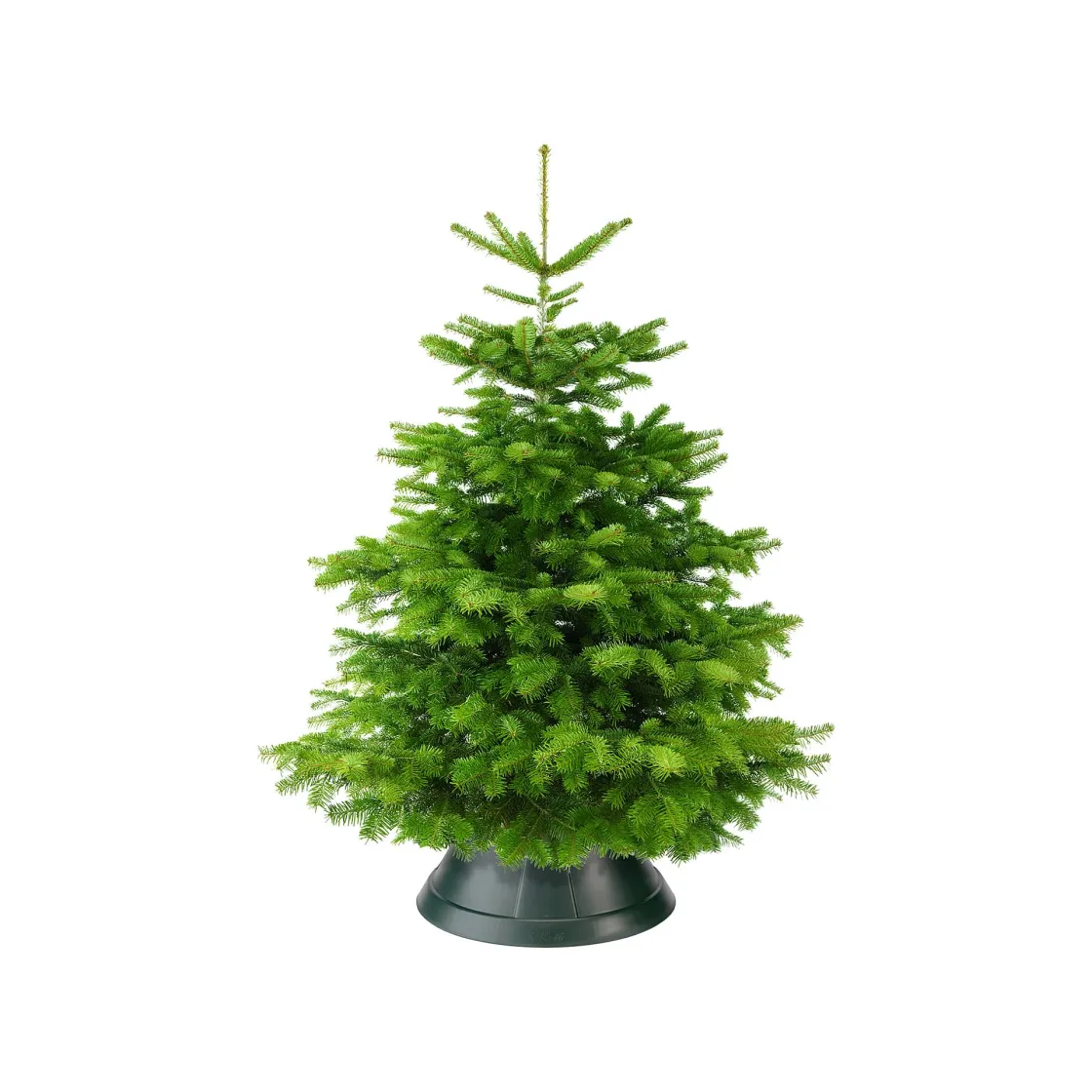 Brico Elho Kerstboomvoet Nordman Groen 52Cm Clearance