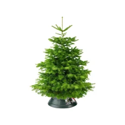 Brico Elho Kerstboomvoet Nordman Groen 52Cm Clearance