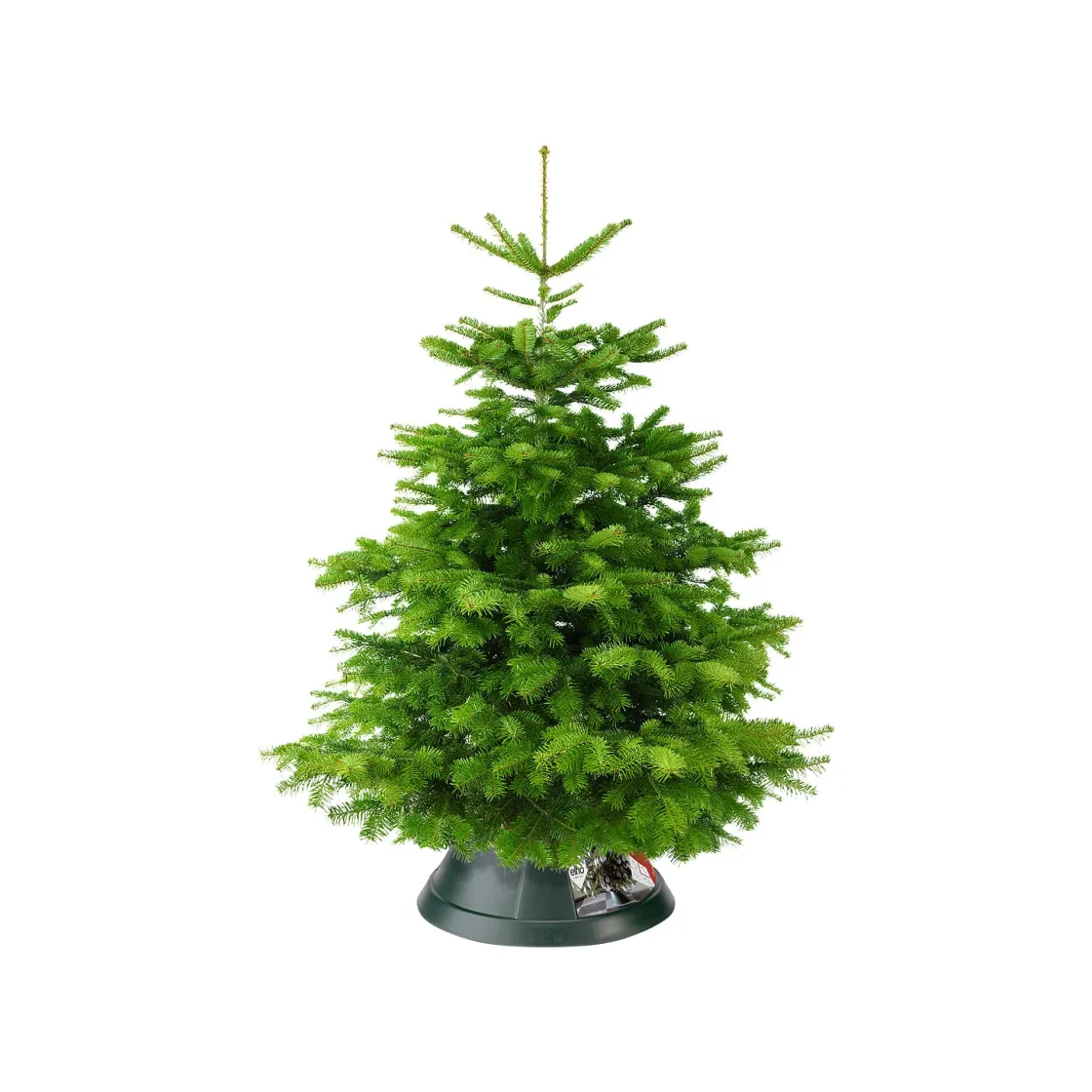 Brico Elho Kerstboomvoet Nordman Groen 52Cm Clearance