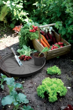 Elho Schotel Green Basics O14Cm Zwart-Brico Sale