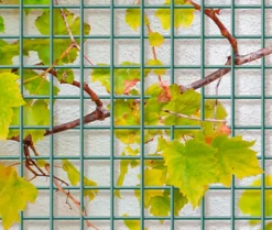 Giardino Gaaspaneel Bari Antraciet 180X90Cm-Brico