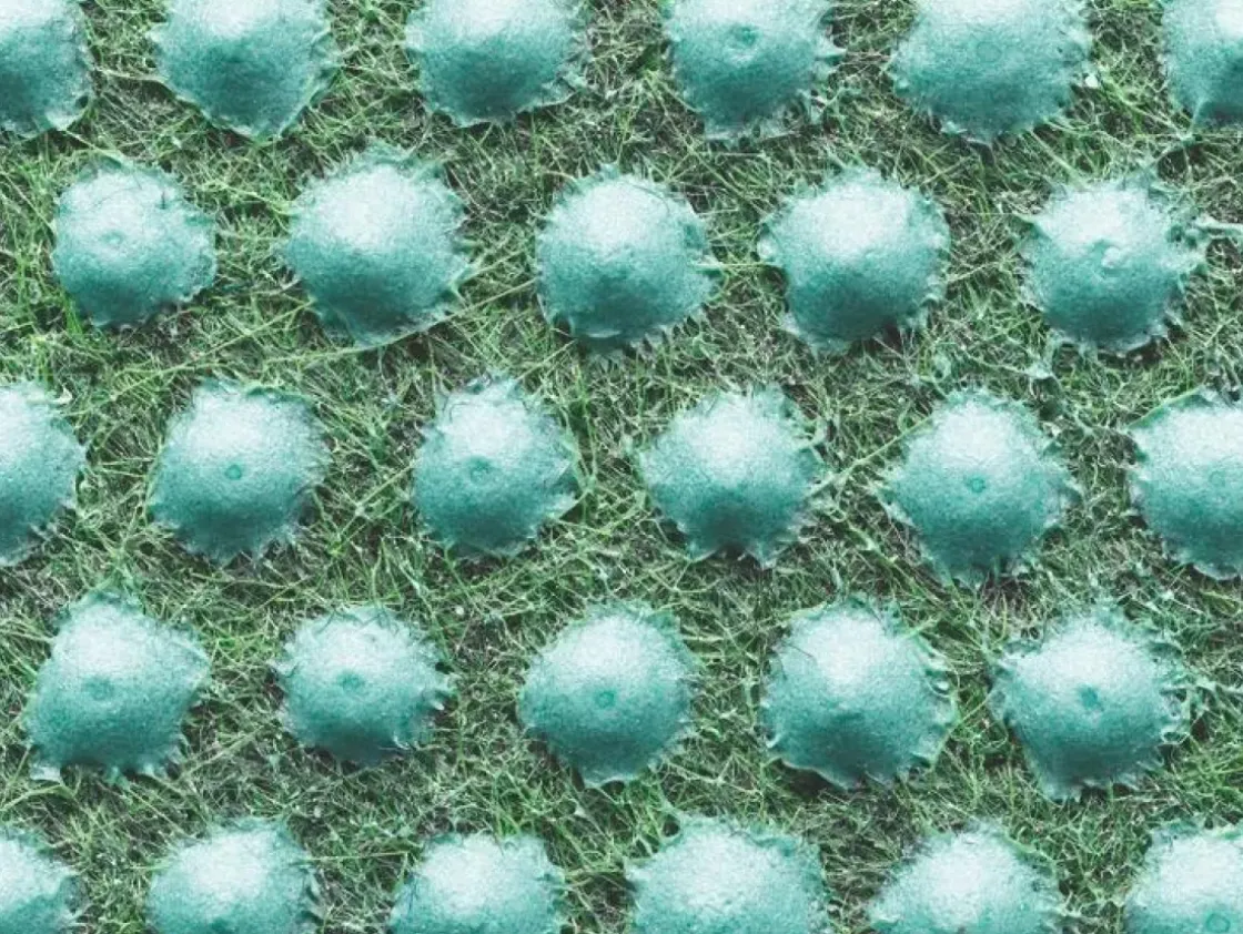 Grastapijt 400X200Cm-Brico