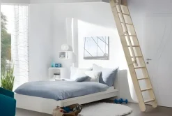 Handystairs Uitschuifbare Steektrap "Montreal" - Hoogte 300Cm - 12 Treden Van Grenen - Met Leuning-Brico Hot