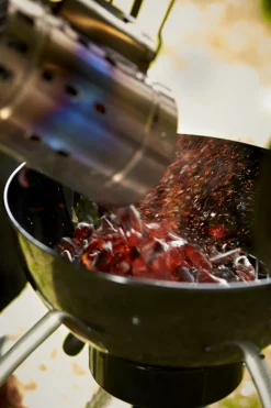 Houtskool Barbecue Chelsea 480 C 69X65X98Cm-Brico Sale