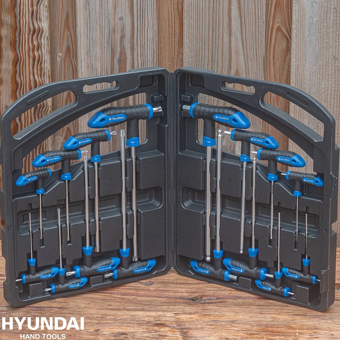 Brico Hyundai Inbus En Torxsleutel Set T-Greep 16 Delig New