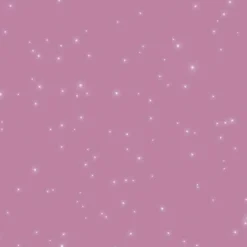 Id Glitterverf Paillett' Prinses 2L-Brico Online