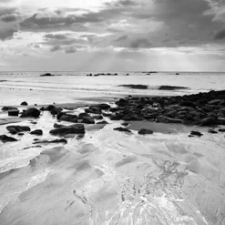 Id Primer Algo Deco Wit 2L-Brico Discount