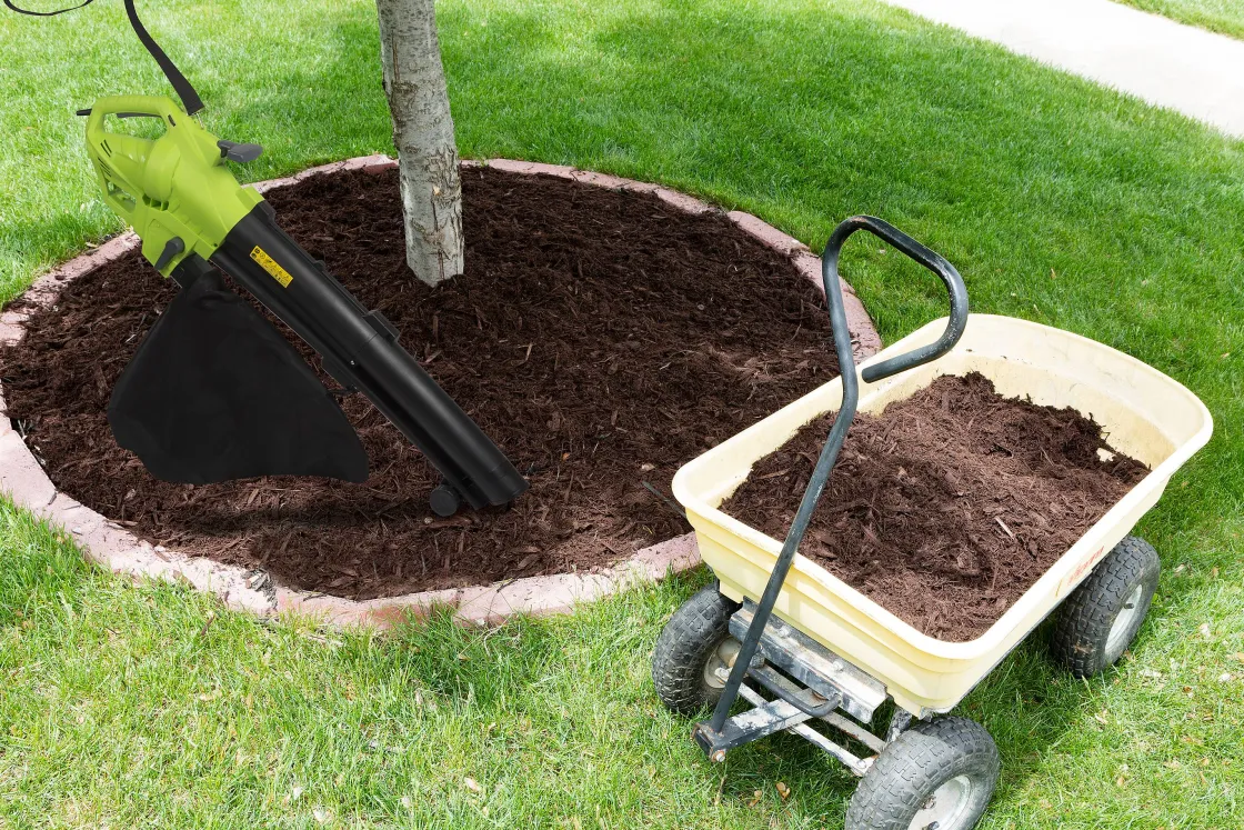 Brico Kinzo Bladblazer - Met Opvangzak - 3000W - 3-In-1 Outlet