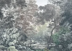 Komar Fotobehang Fairytale Forest 400X280Cm-Brico New