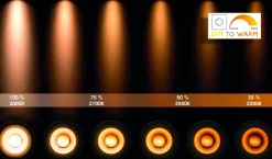 Brico Lucide Spot Led Taylor Zwart 2X5W Sale