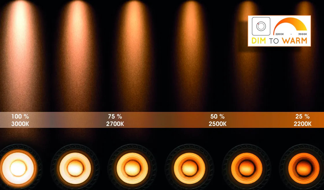 Brico Lucide Spot Led Taylor Zwart 2X5W Sale