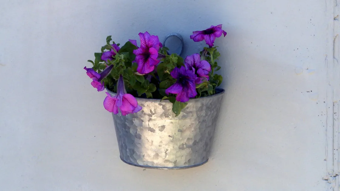 Brico 3M Scotch Extreme Montagetape 1,5Mx19Mm Sale