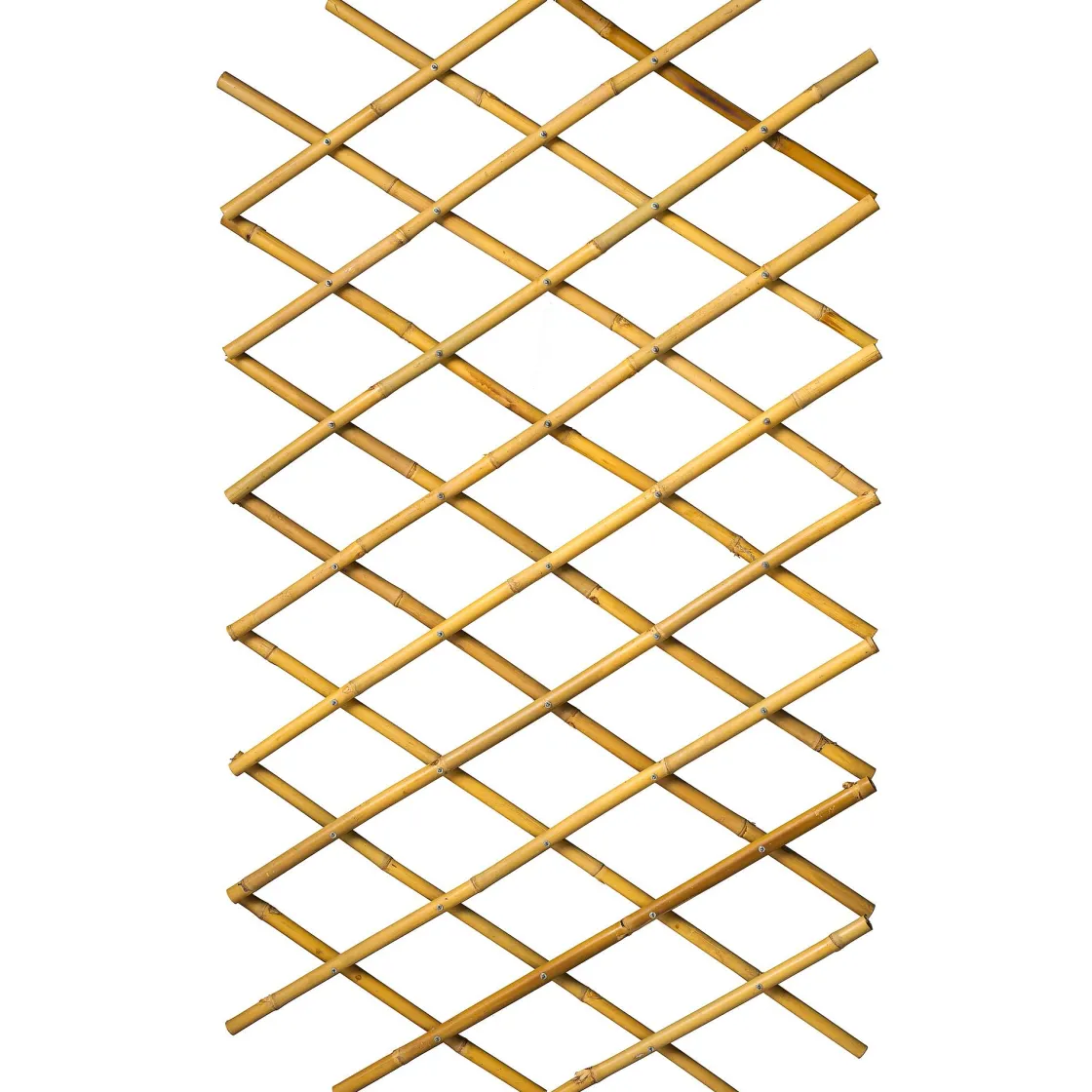 Brico Nature Bamboeklimrek 45X180Cm