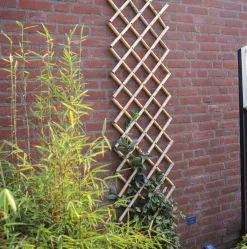 Brico Nature Bamboeklimrek 100X200Cm Clearance