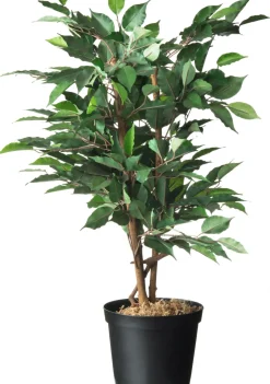 Nature Tuinplantcontainers 5L H18Xo22,5Cm 2 Stuks-Brico Discount