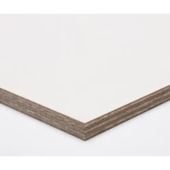 Brico Paintplex Multiplex Plaat 122X244Cm 18Mm Best