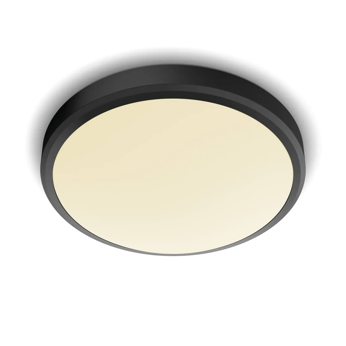 Brico Philips Plafondlamp Doris Zwart O31,3Cm 17W