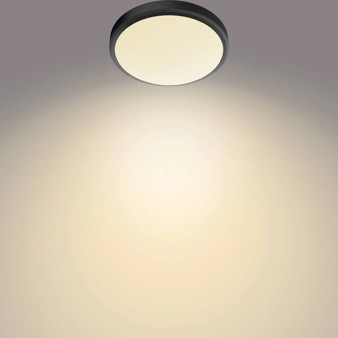 Brico Philips Plafondlamp Doris Zwart O31,3Cm 17W