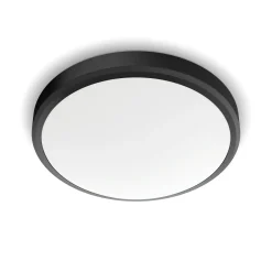 Brico Philips Plafondlamp Doris Zwart O31,3Cm 17W