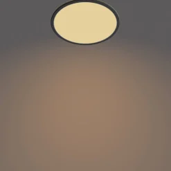 Brico Philips Plafondlamp Superslim Zwart O30Cm 18W