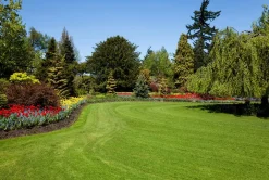 Professionele Kunststof Randbegrenzing B-Edge Pro 10M - Zwart-Brico Best