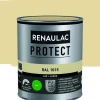 Renaulac Lak Protect Ral1015 Mat 750Ml-Brico Clearance
