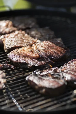 Rosle Houtskoolbarbecue No. 1 Sport F50 68X68X99Cm-Brico Discount