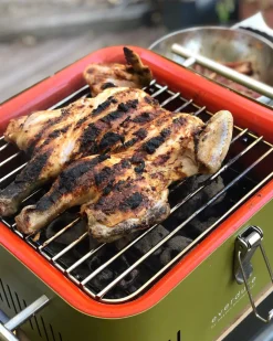 Rosle Houtskoolbarbecue No. 1 Belly F50 66,5X73,5X106Cm-Brico Discount