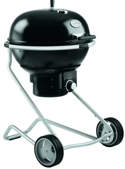 Rosle Houtskoolbarbecue No. 1 F60 Air 75X83X115Cm-Brico Online