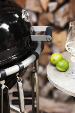 Rosle Houtskoolbarbecue No. 1 F60 Air 75X83X115Cm-Brico Online