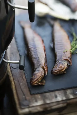 Rosle Houtskoolbarbecue Smoker F50-S No.1 69X38X136Cm-Brico Hot