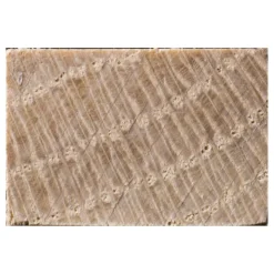 Brico Schaaflat Eiken 12X18Mm 240Cm Clearance