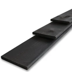 Brico Schuttingplank Zwart 1,6X14X180Cm Best