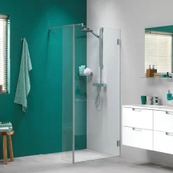 Brico Sealskin I Am Inloopdouche Walk In Type A1 100X30Cm Rvs (Look) | 8Mm Helder Veiligheidsglas + Antikalk Online