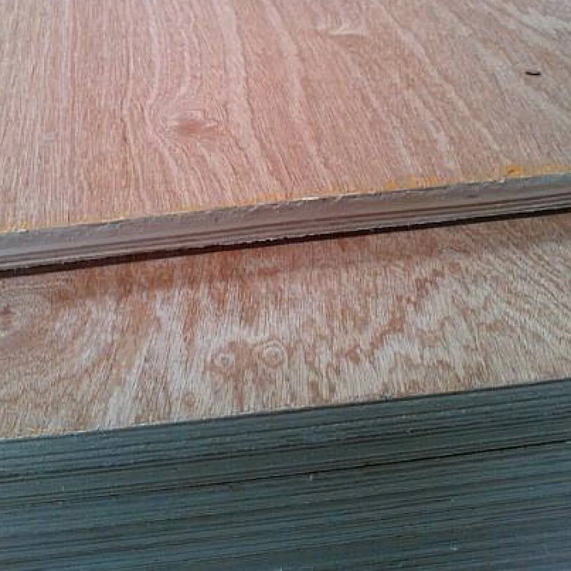 Brico Sencys Multiplex-Paneel 'Topplex' 125X61X1,2Cm Sale