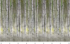 Smart Art Fotobehang Berkenbos-Brico Hot