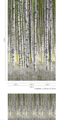 Smart Art Fotobehang Berkenbos-Brico Hot