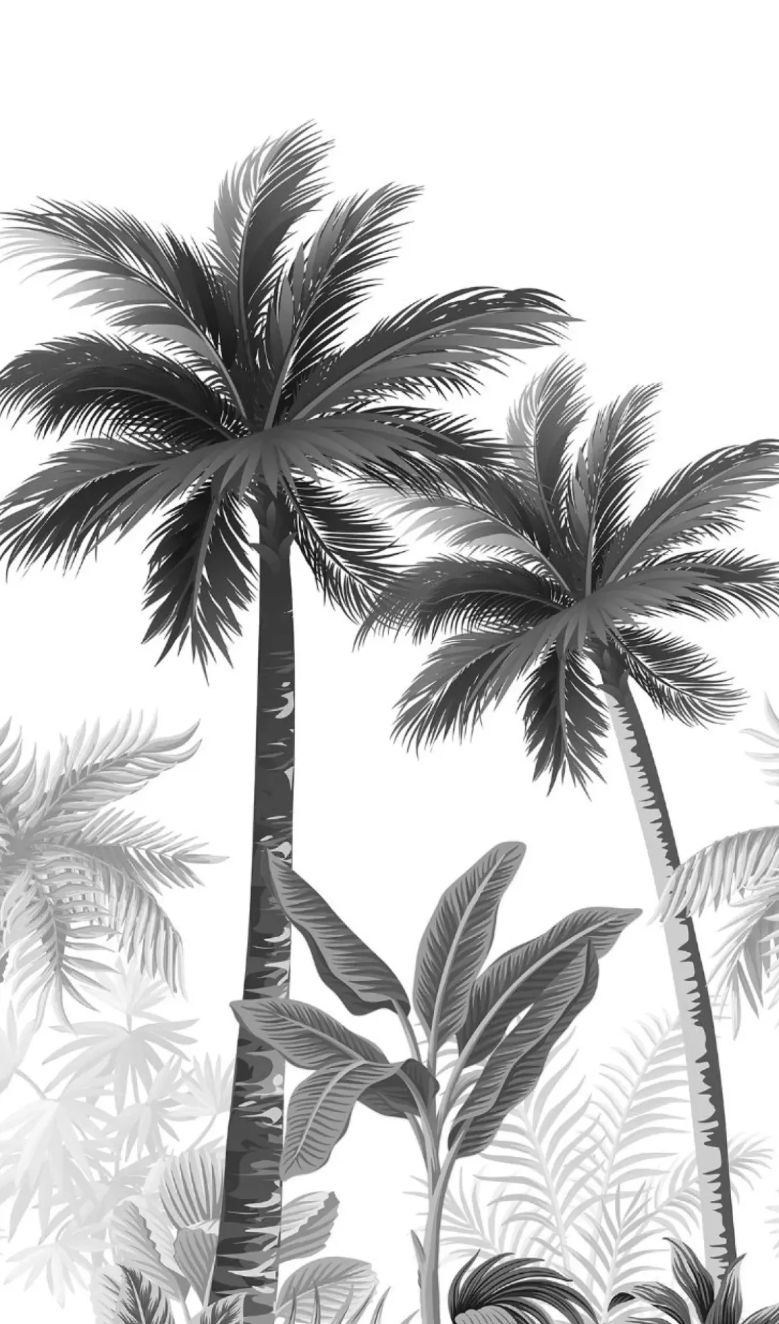 Smart Art Fotobehang Palmbomen-Brico Sale