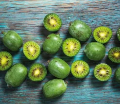 Smoothie Mix - Mix Van 8 - Goji,Cranberry,Bes, Kiwi - Pot 9Cm - Hoogte 25-40Cm-Brico Hot