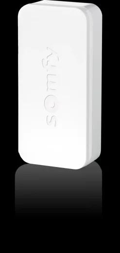 Somfy Deur- En Raamsensor Intellitag Wifi 200M-Brico Online