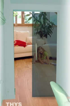 Thys Veiligheidsglas Schuifdeur 'Thytan Sliding' Grijs Gerookt 215X83Cm-Brico