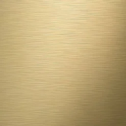 Brico Tiger Toiletrolhouder Tune Zonder Klep Messing Geborsteld / Zwart Best