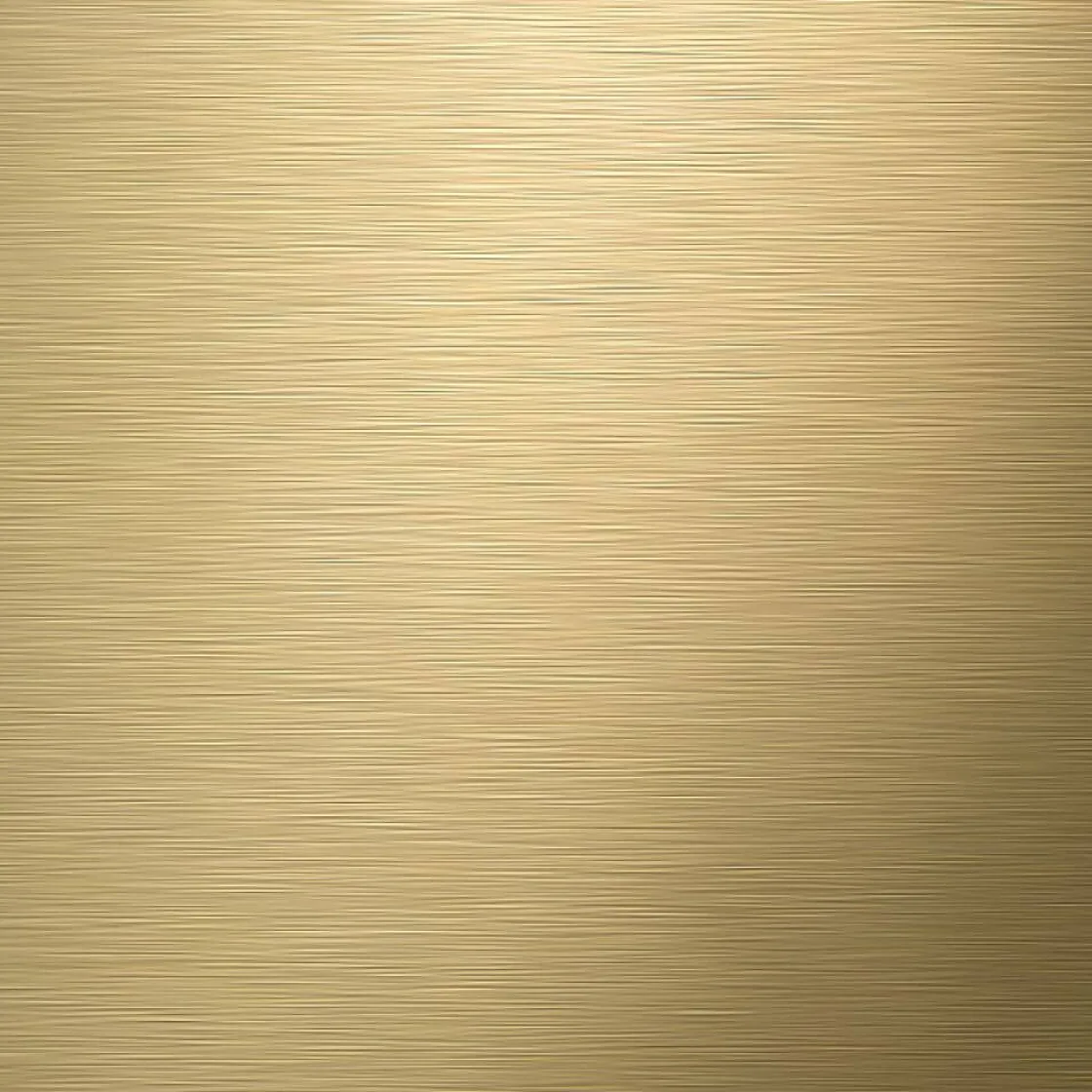 Brico Tiger Toiletrolhouder Tune Zonder Klep Messing Geborsteld / Zwart Best