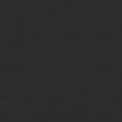 Brico Tiger Tune Toiletborstel Met Houder Zwart Metaal Geborsteld / Zwart New