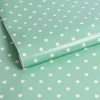Brico Transform Zelfklevende Decoratiefolie Dotty Mint 45X200Cm New