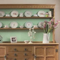 Brico Transform Zelfklevende Decoratiefolie Dotty Mint 45X200Cm New