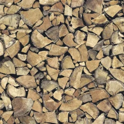 Brico Transform Zelfklevende Decoratiefolie Tree Trunk 45X200Cm Hot